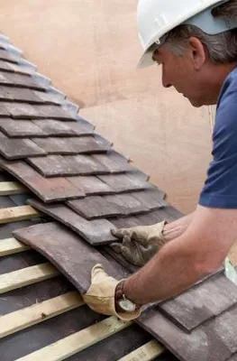 Rhino Development & Roofing Logo