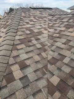 Slide of Rhino Home Care