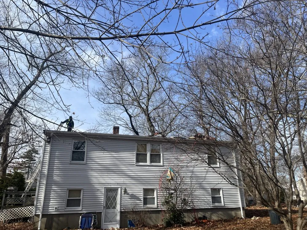 Slide of Rhino Roofing & Masonry