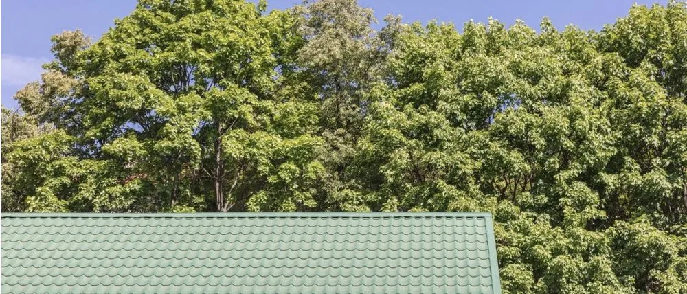 Slide of Rhino Roofing