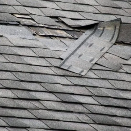 Slide of Rhino Roofing