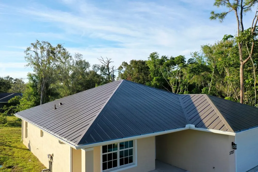 Slide of Rhino Roofs