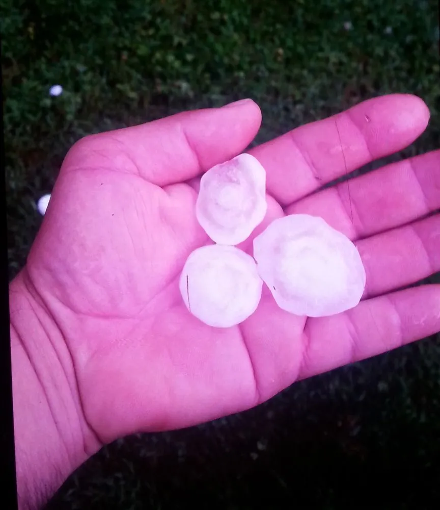 Slide of RHINOMAX ROOFING LLC