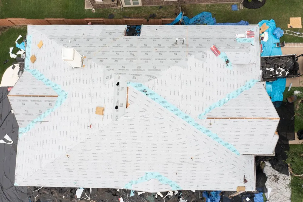 Slide of Rhinovations