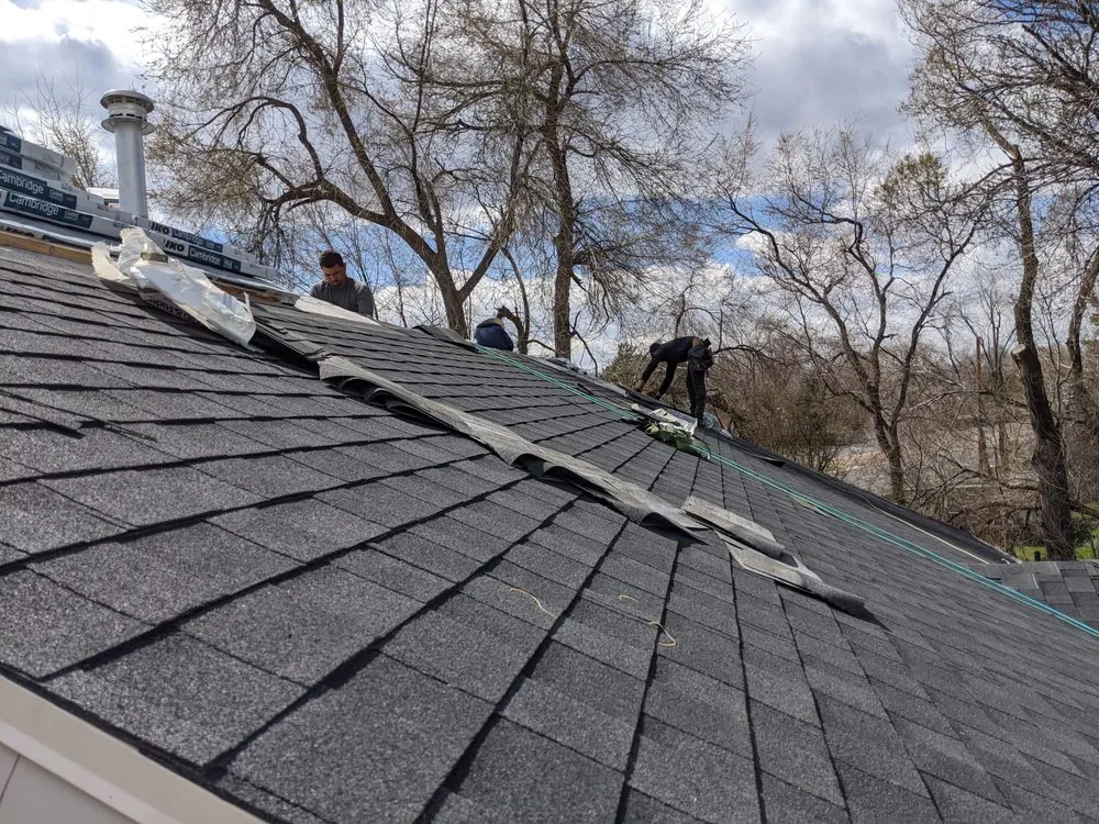 Slide of RHIVE Construction