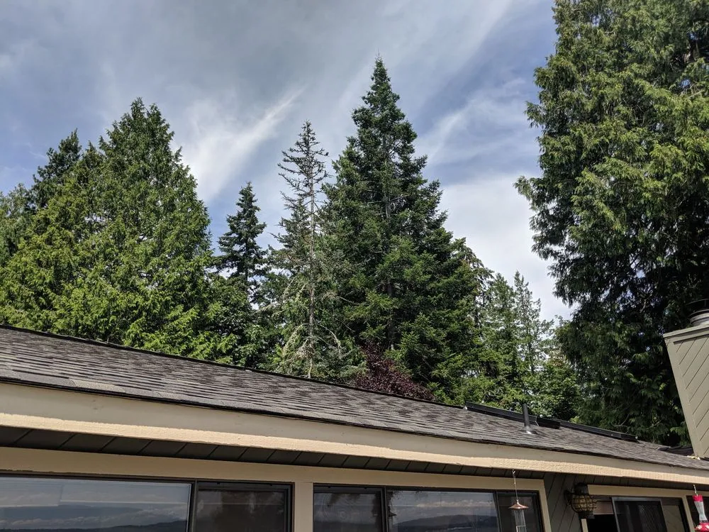 Slide of Rhyatt Construction