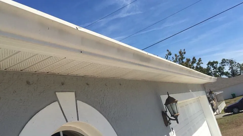 Slide of Rhyne Restoration