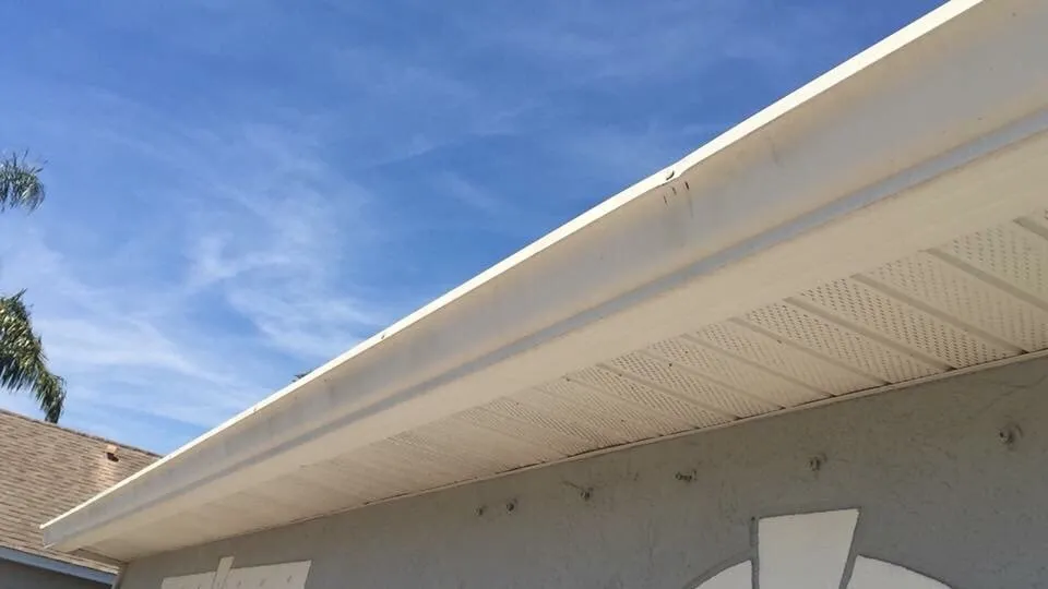 Slide of Rhyne Restoration