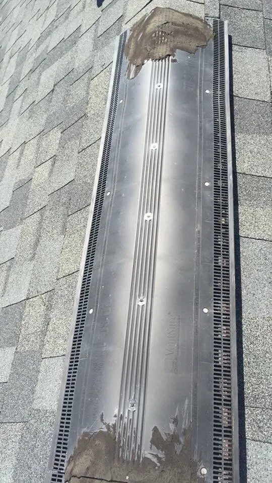 Slide of Rhyne Restoration