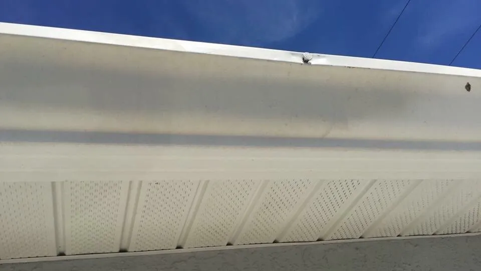 Slide of Rhyne Restoration