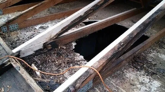 Slide of Rhyne Restoration