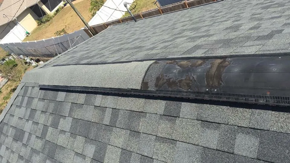 Slide of Rhyne Restoration