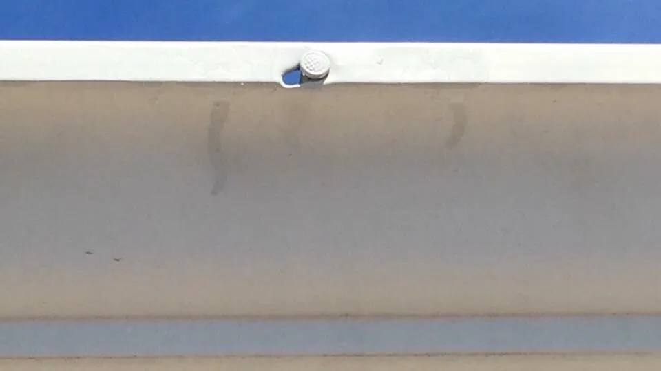 Slide of Rhyne Restoration