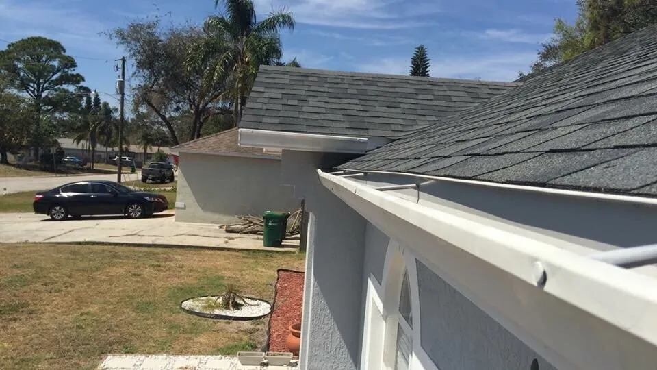 Slide of Rhyne Restoration