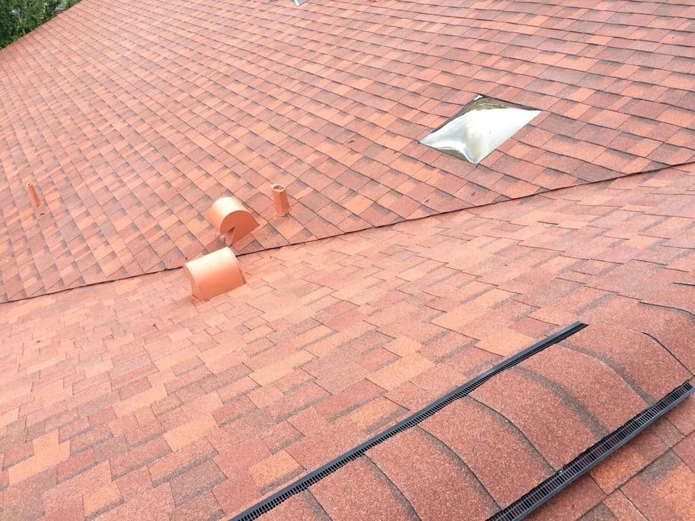 Slide of Rhyne Restoration