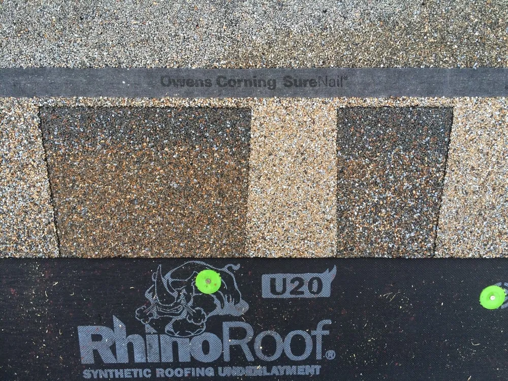 Slide of Rhyne Restoration