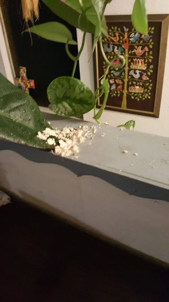 Slide of Ribas Roofing and Services