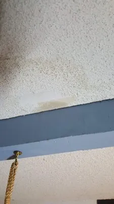 Ribas Roofing and Services