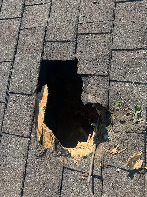 Slide of Rice Construction & Management Services