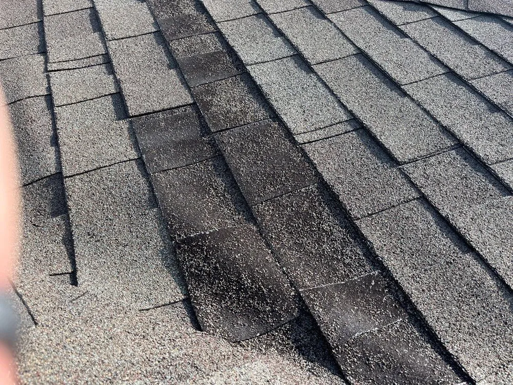 Slide of Rich The Roofer