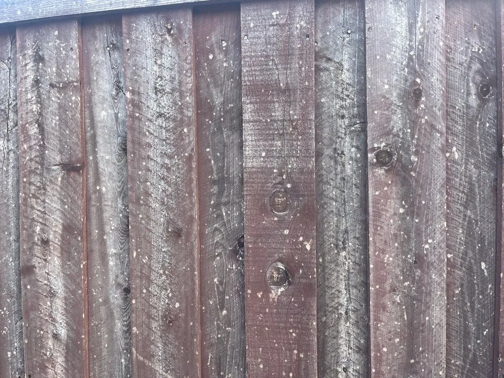 Slide of Rich The Roofer