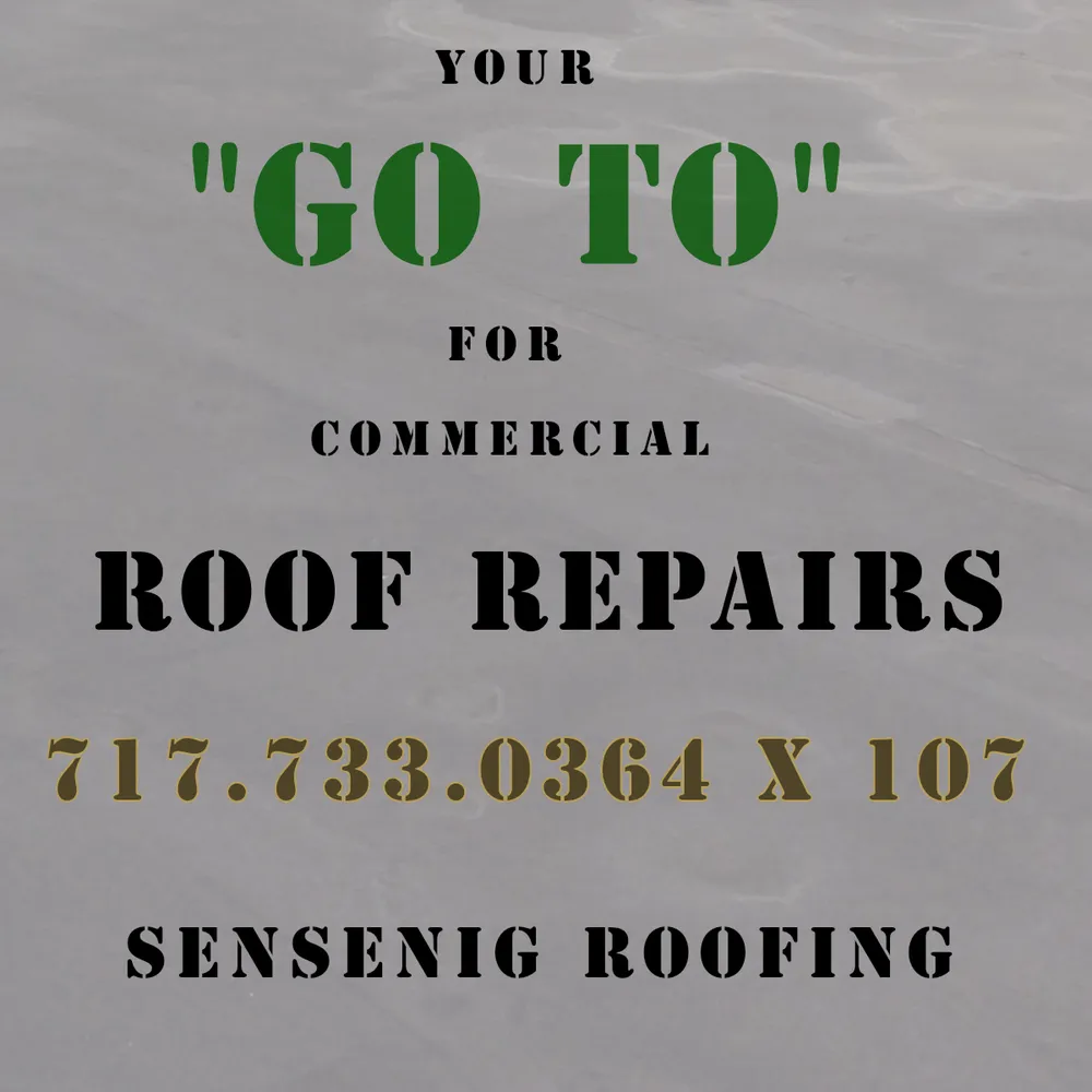 Slide of Richard L Sensenig