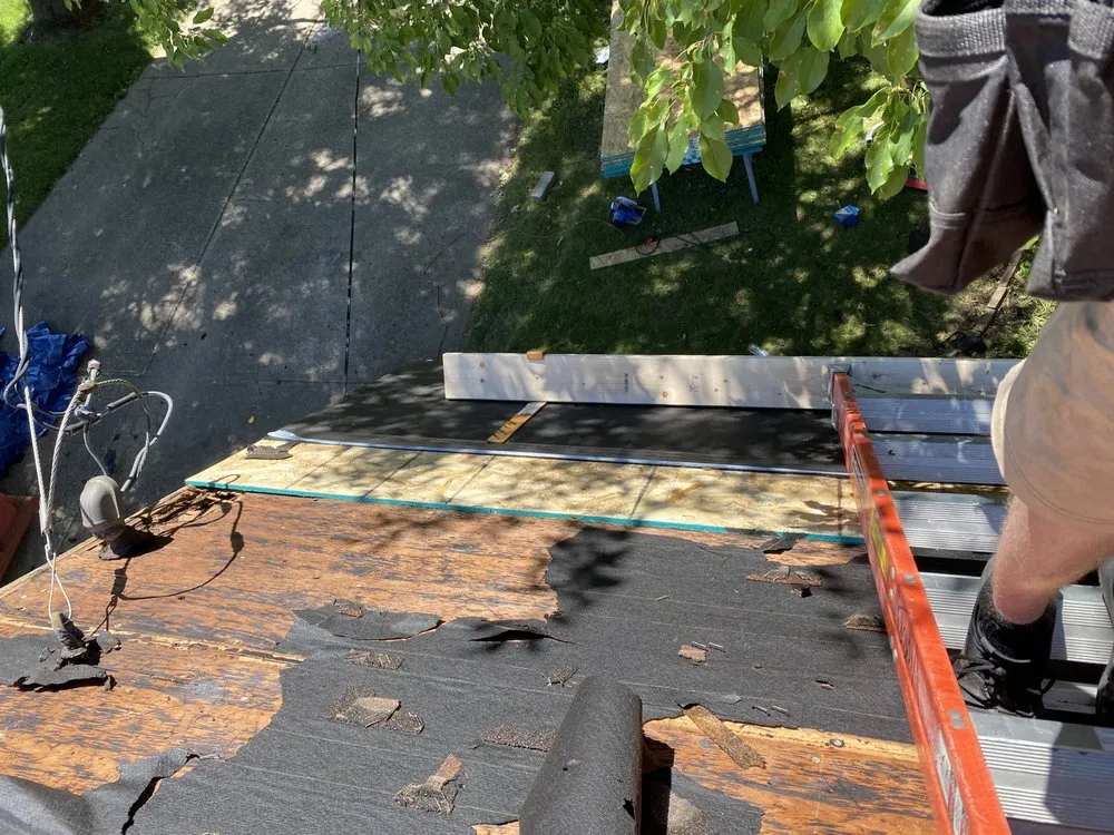 Slide of Rich’s construction