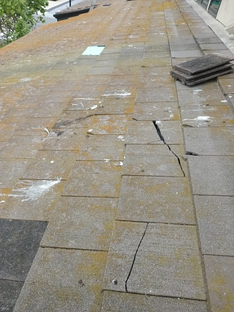 Slide of Rick's Roof & Gutter Cleaning Service