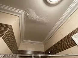 Slide of Rick’s Roofing