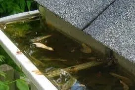 Slide of Rick’s Roofing