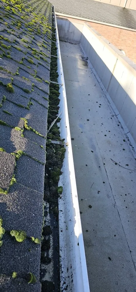 Slide of Ricky Bobby's Roofing Services