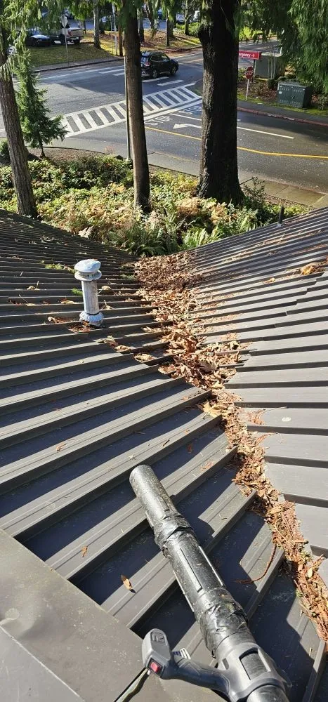 Slide of Ricky Bobby's Roofing Services