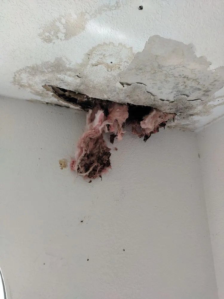 Slide of Ridge Down Construction