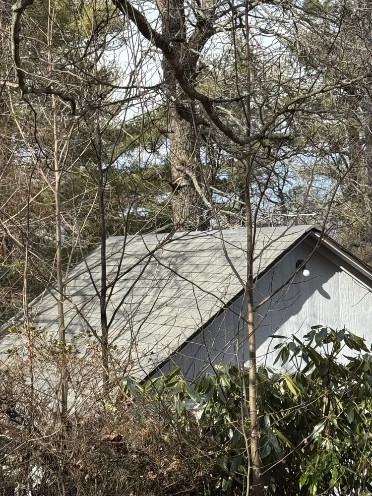 Slide of Ridge Restorations