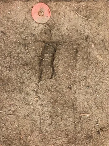 Slide of Ridge Runners Roofing