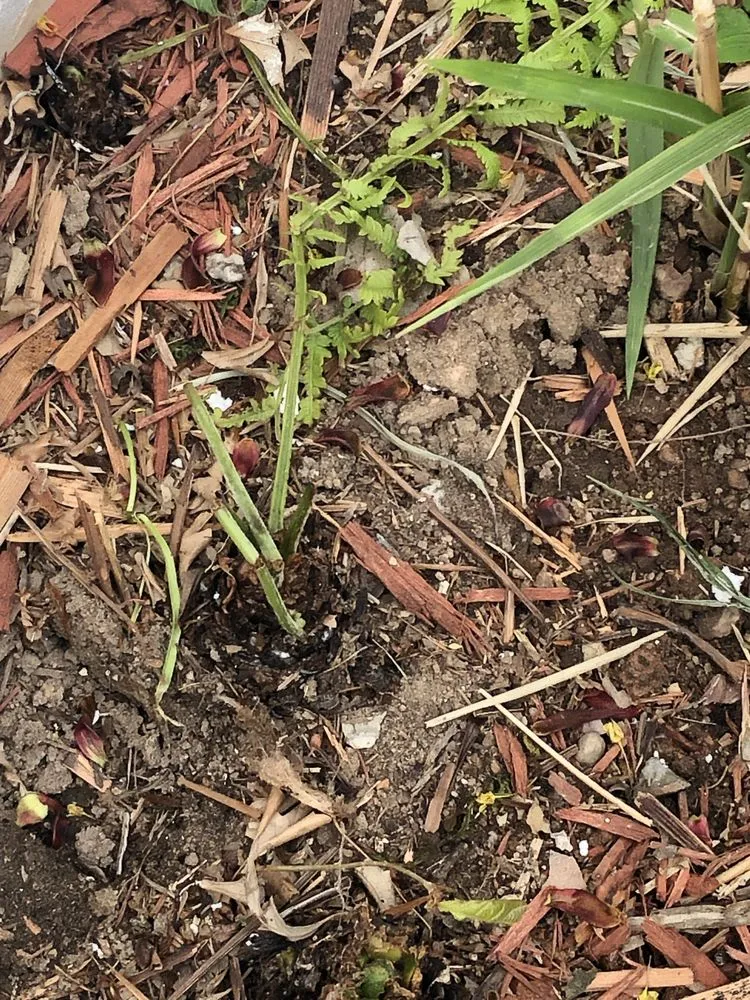 Slide of Ridge Top Exteriors