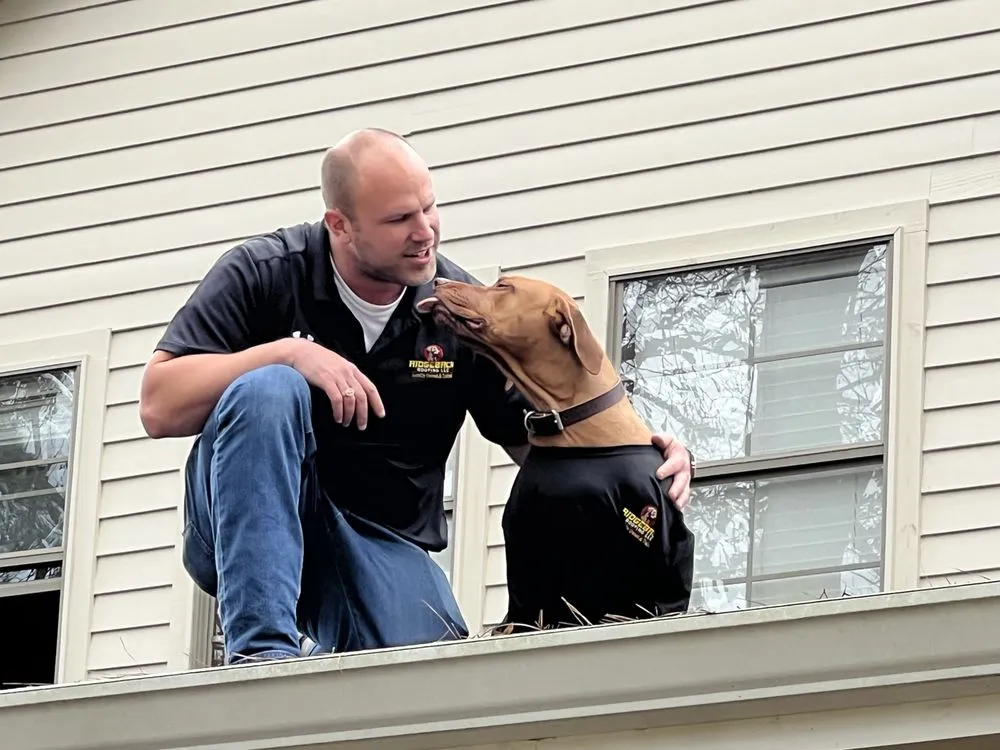 Slide of Ridgeback Roofing