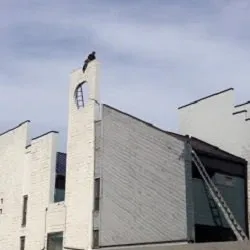 Slide of Ridgid Construction