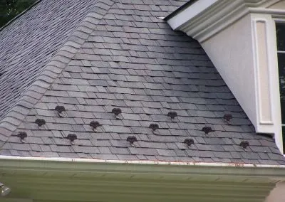 Slide of Riedel Contracting