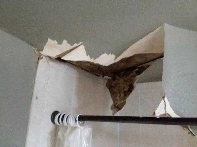 Slide of RIG Roofing