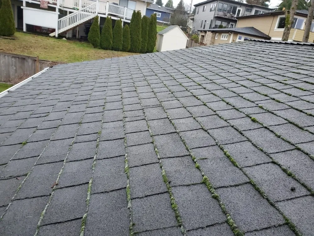 Slide of Right Choice Roofing