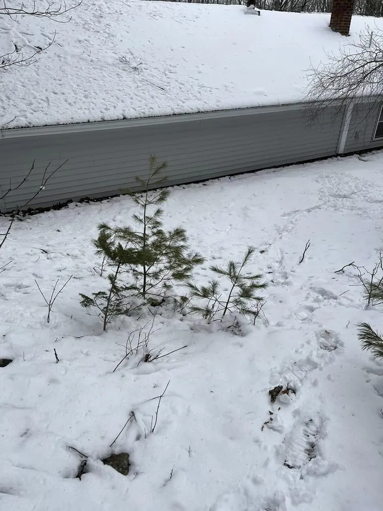 Slide of Right Price Home Solutions