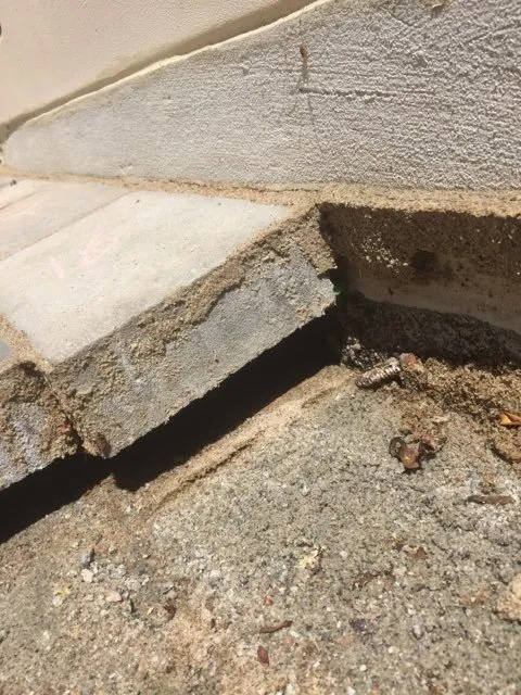 Slide of Right Team Construction