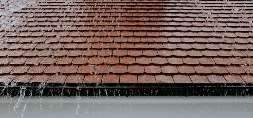 Slide of Riken Group