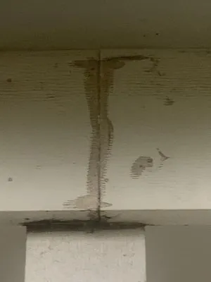 Riley Hays Roofing & Construction