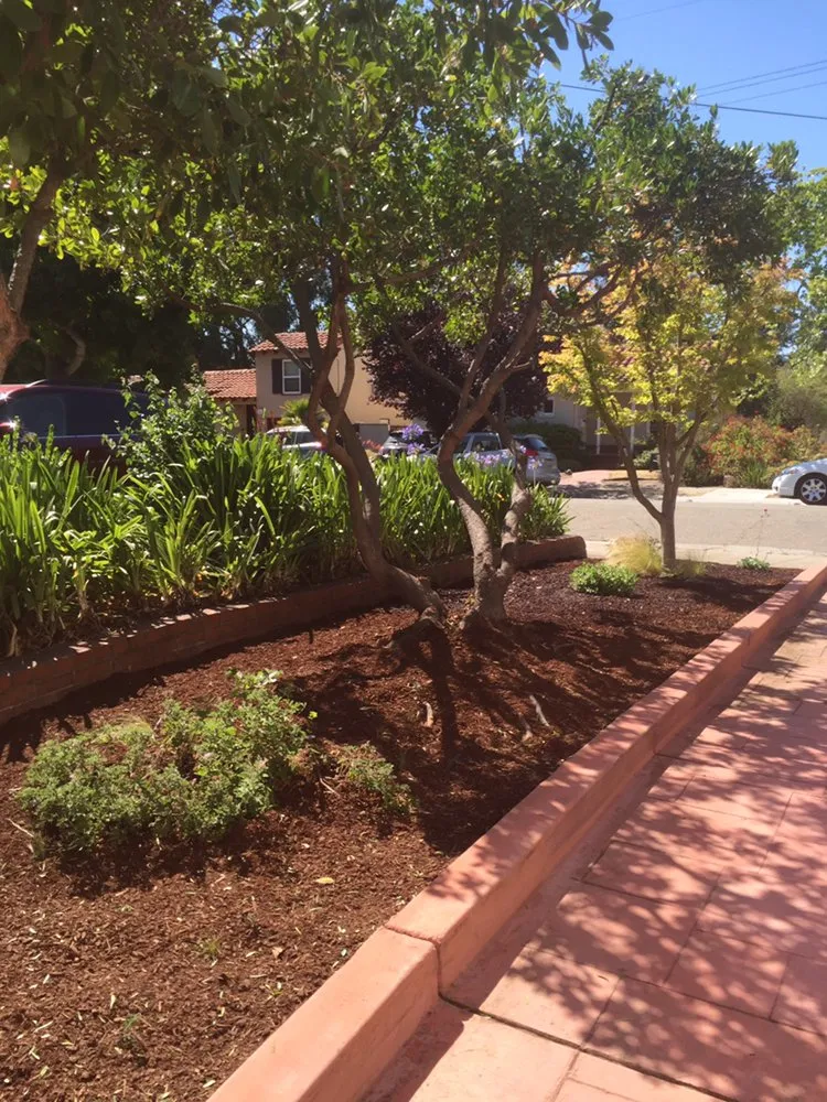 Slide of Rios Landscaping Services