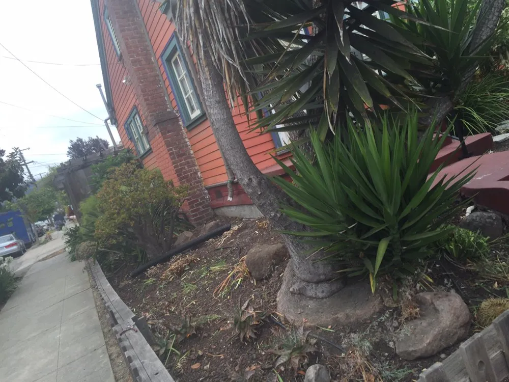 Slide of Rios Landscaping Services