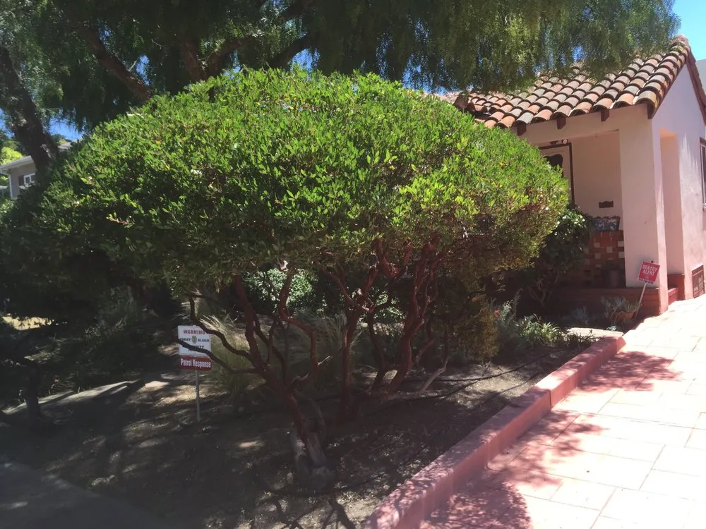 Slide of Rios Landscaping Services