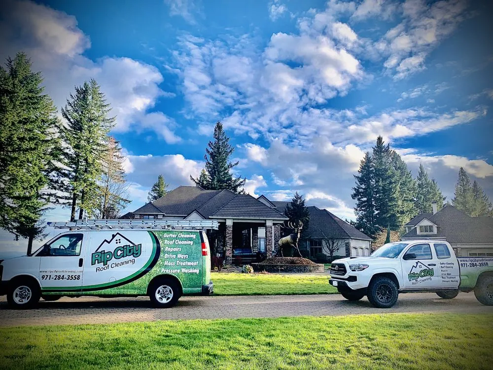 Slide of Rip City Roof Cleaning