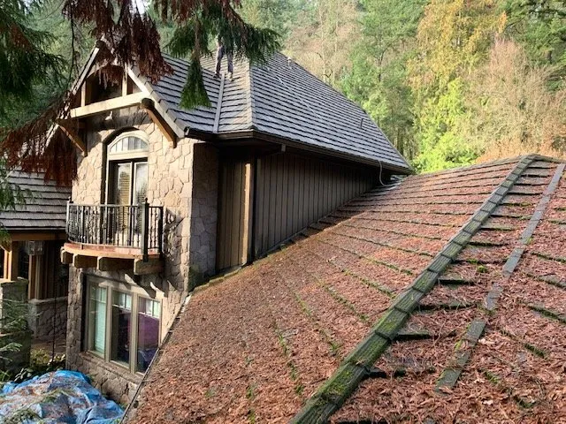 Slide of Rip City Roof Cleaning